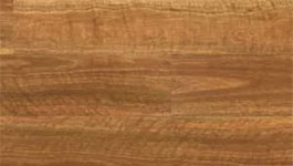 NSW Spotted Gum wood grain solid timber flooring