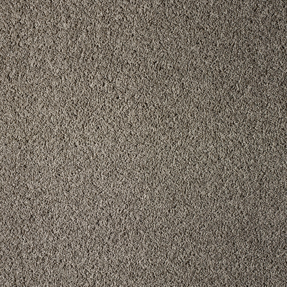 UltraPet Basenji Carpet Range in Coyote Greigecolour