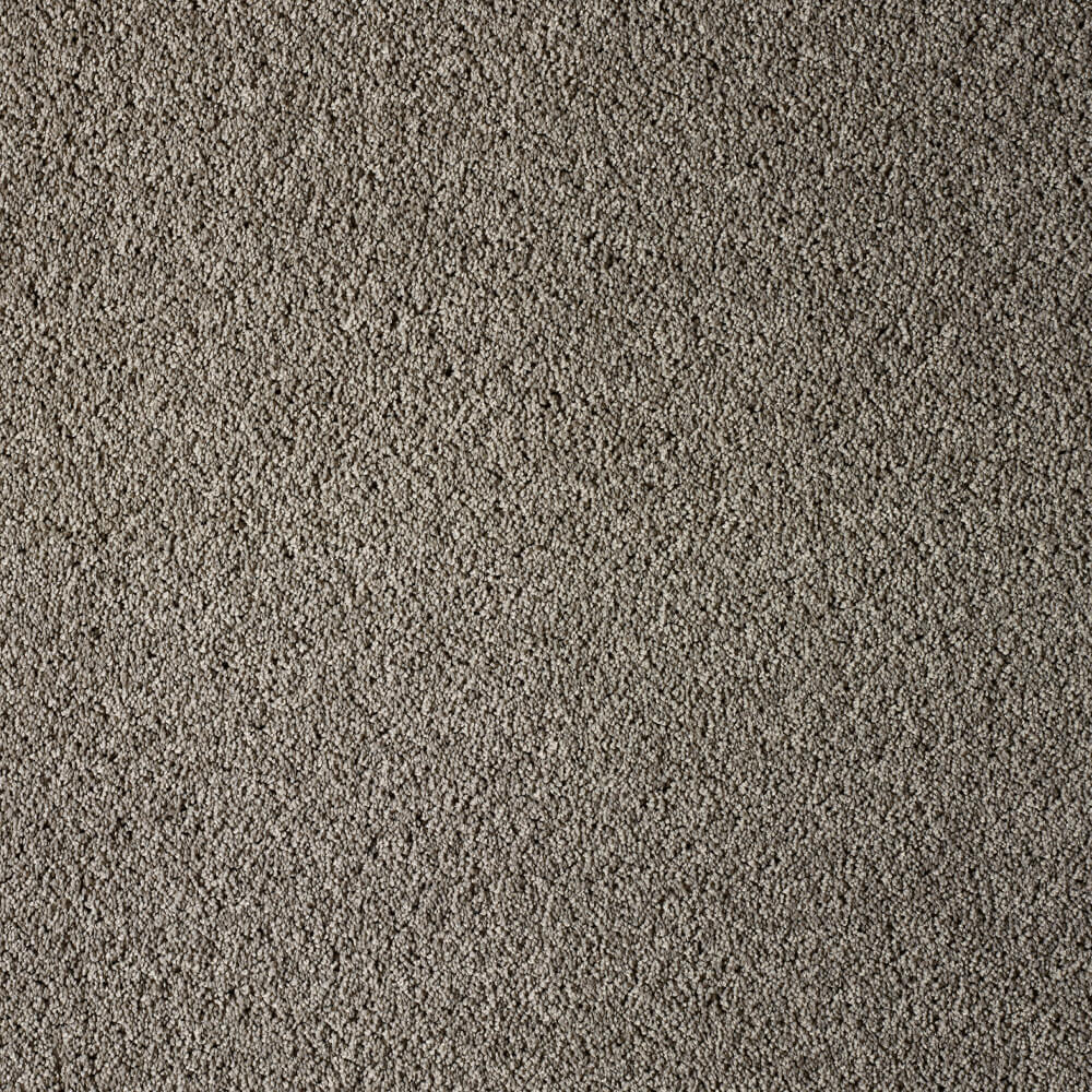UltraPet Basenji Carpet Range in Coyote Greigecolour