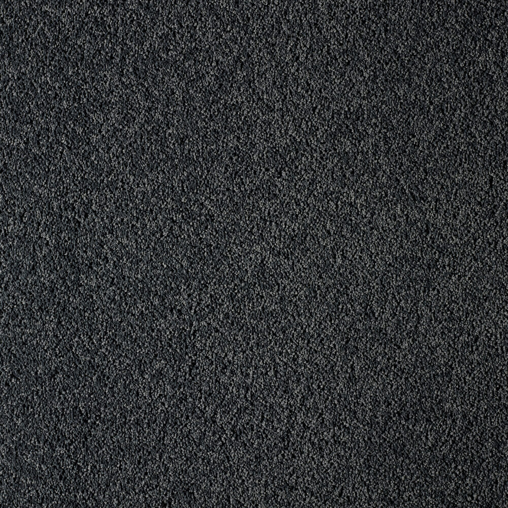 UltraPet Carpet range in Chartreux colour