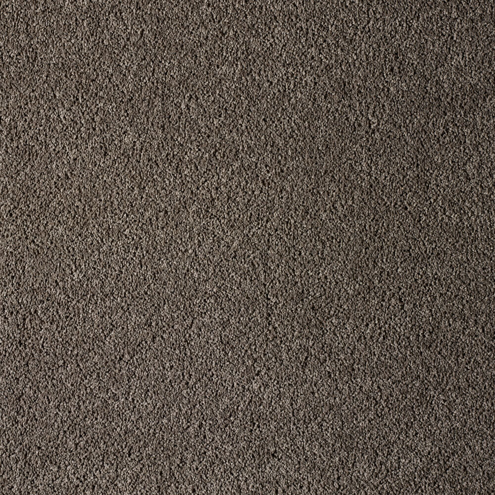 UltraPet Carpet range in Puma Brown colour