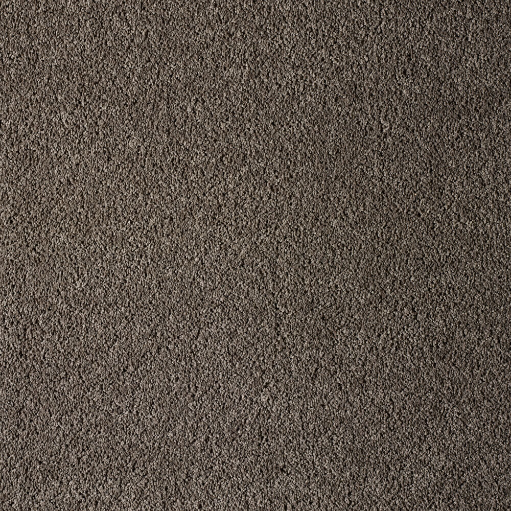 UltraPet Carpet range in Puma Brown colour
