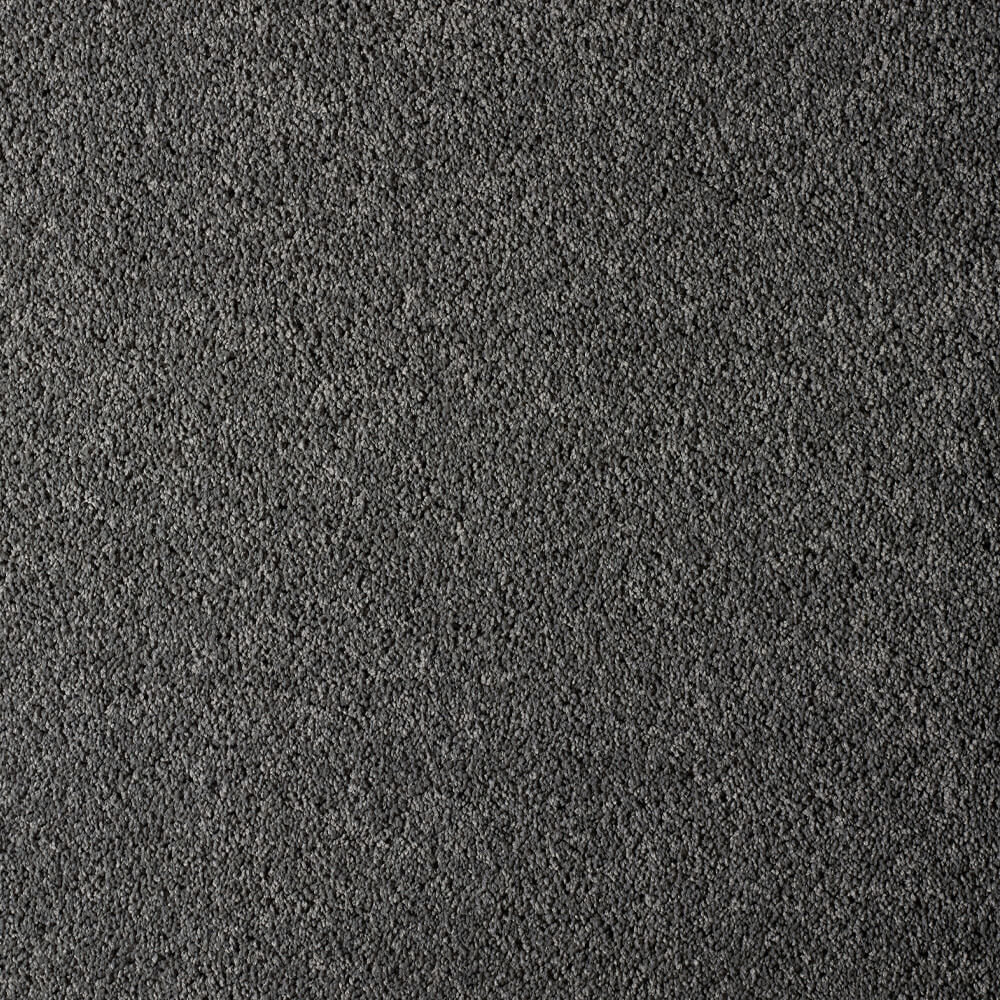 UltraPet Carpet range in Scottish Fold colour