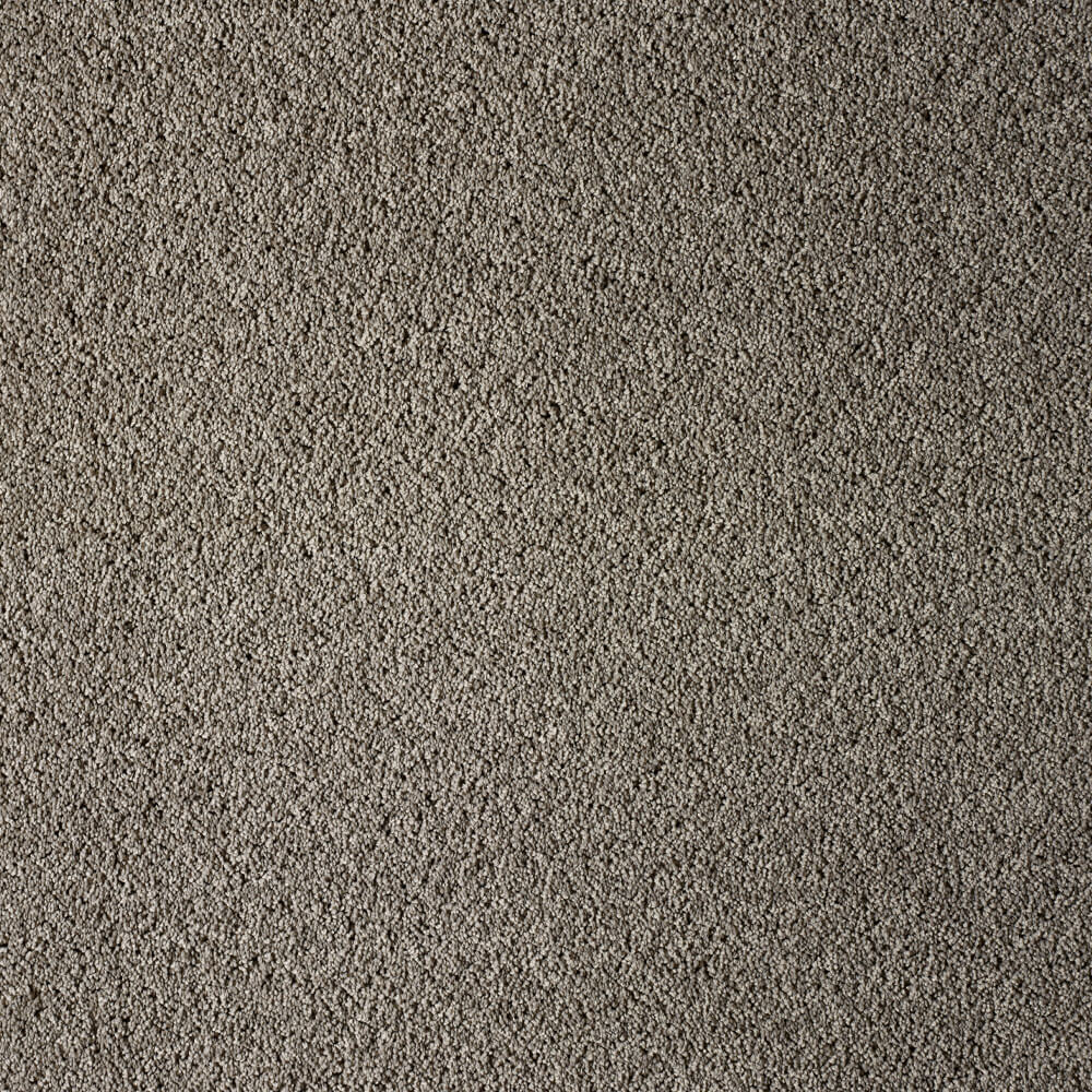 UltraPet Carpet range in Tabby colour