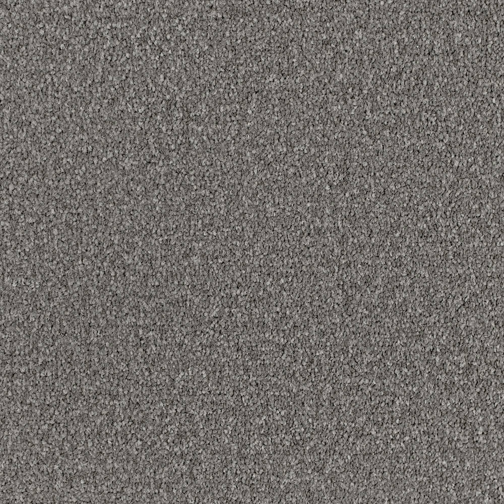 Lucky Charm Carpet in Metal Mesh colour