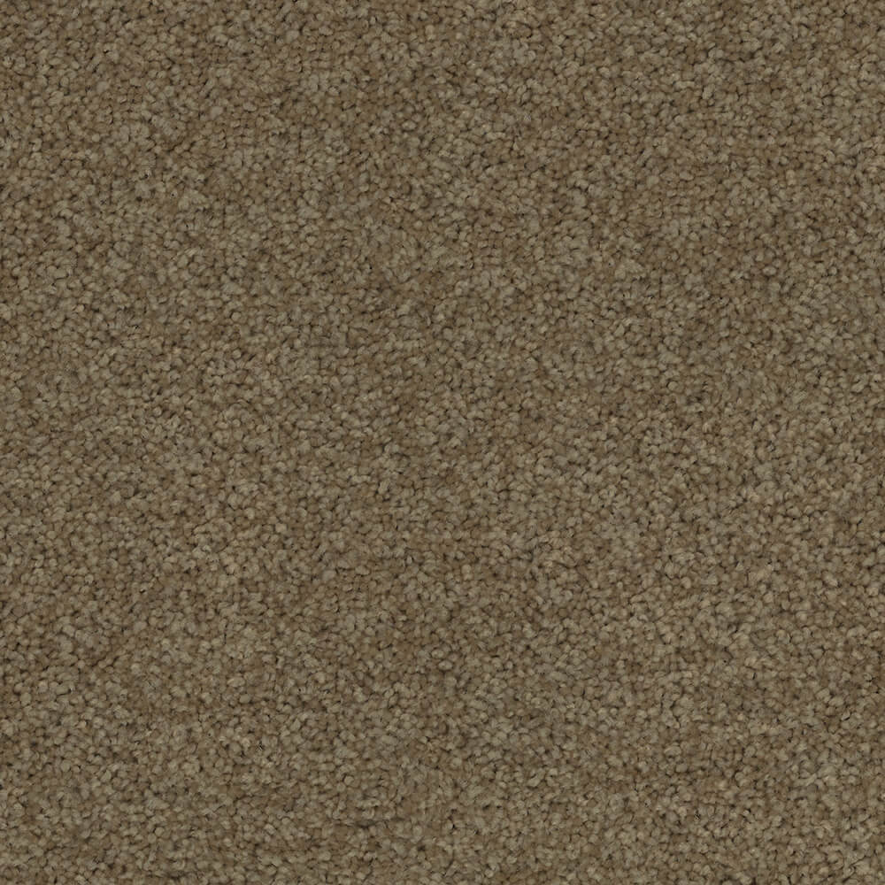 Passionate Carpet range in Caramel colour