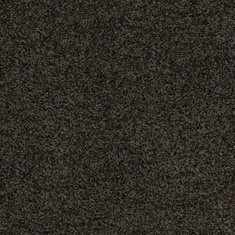 Passionate Carpet range in Cast Iron colour