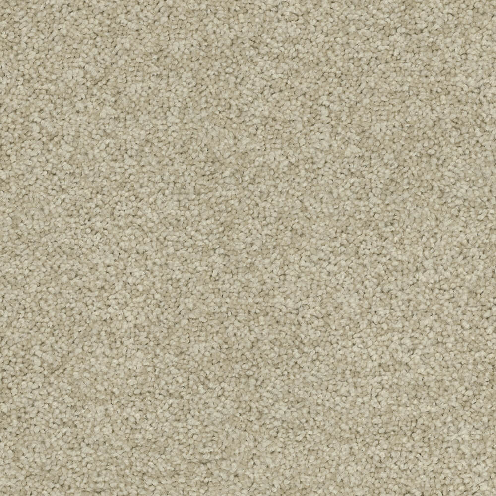 Passionate Carpet range in Classic Touch colour