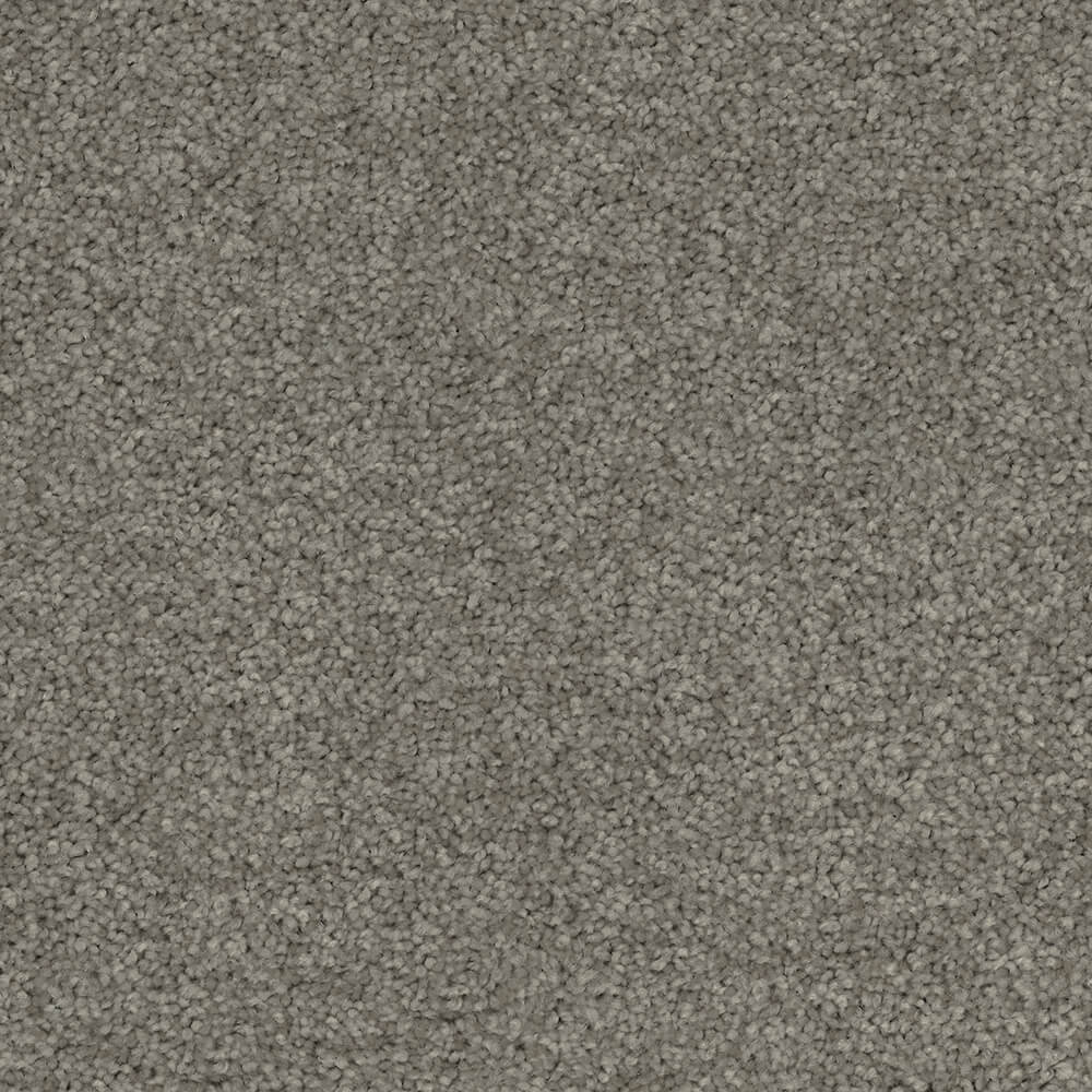 Passionate Carpet range in Frosted Grey colour