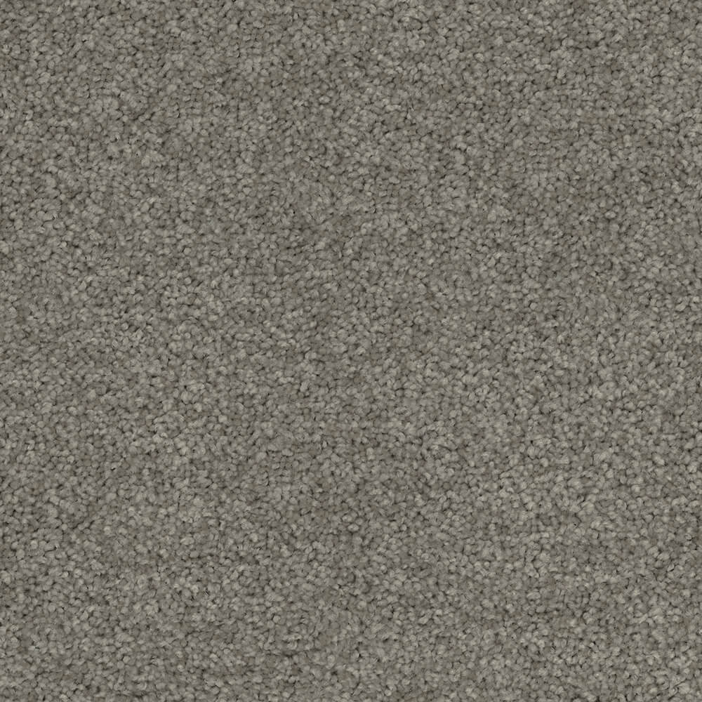 Passionate Carpet range in Frosted Grey colour