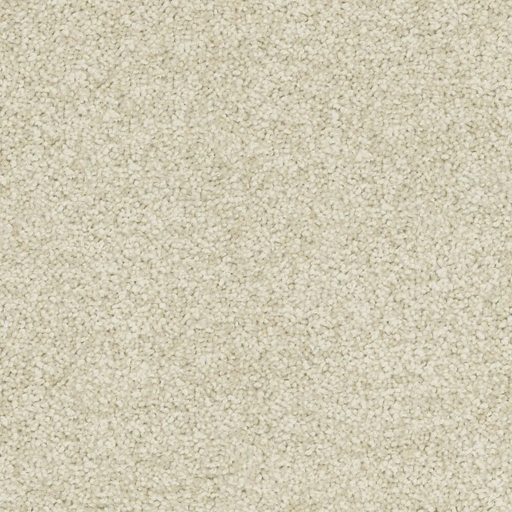 Passionate Carpet range in Ivory colour