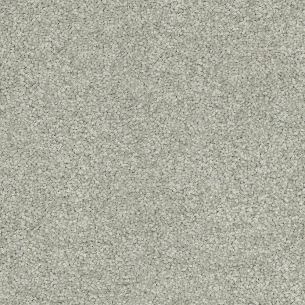 Passionate Carpet range in Light Steel colour