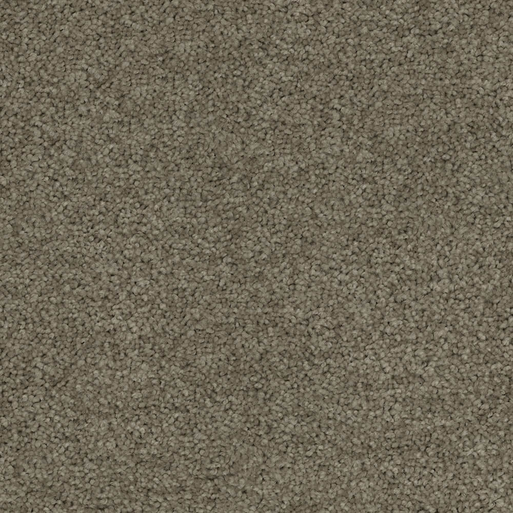 Passionate Carpet range in Mirage Grey colour