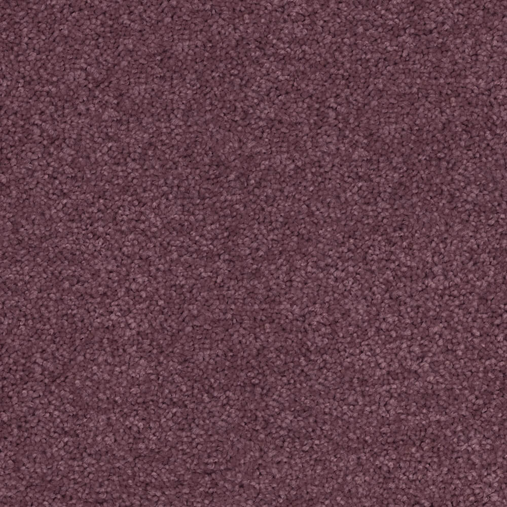 Passionate Carpet range in Peony colour