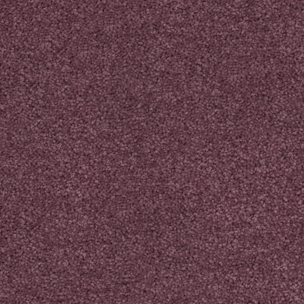 Passionate Carpet range in Peony colour