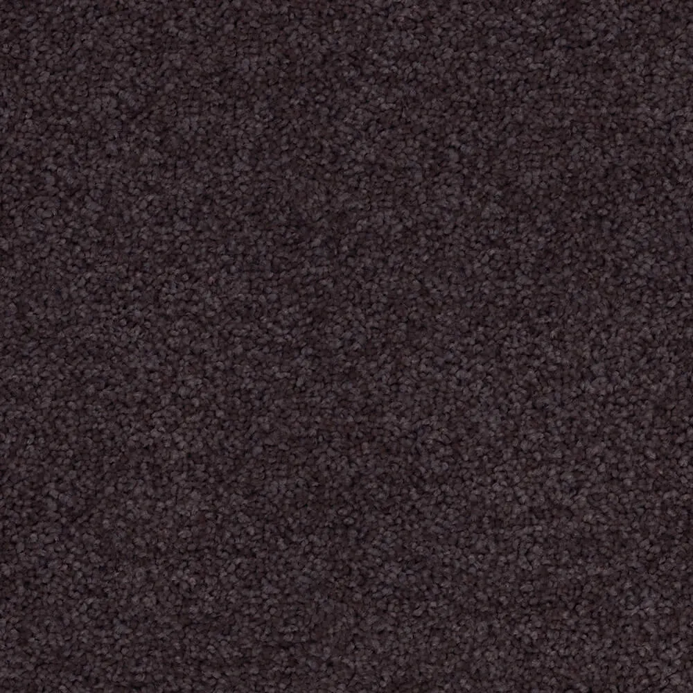 Passionate Carpet range in Royal Velvet colour