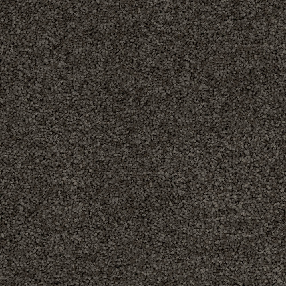 Passionate Carpet range in Sl;houette colour