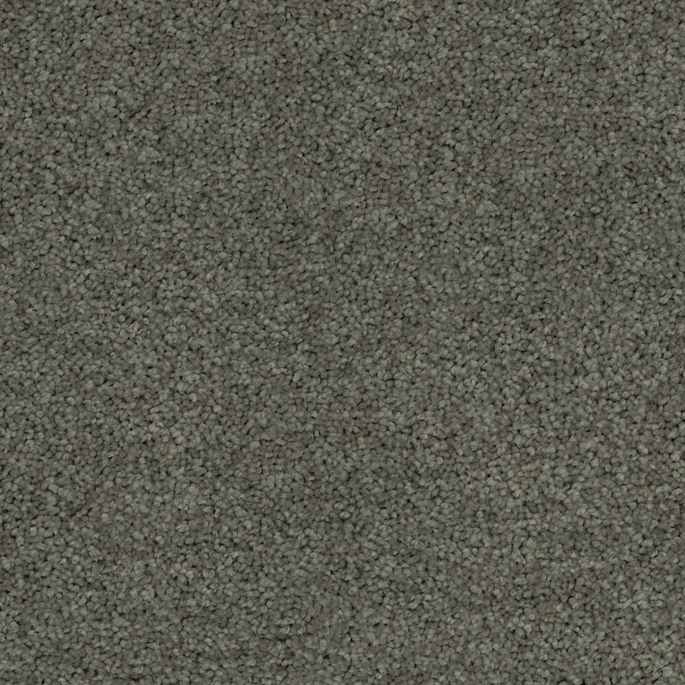 Passionate Carpet range in Silver colour