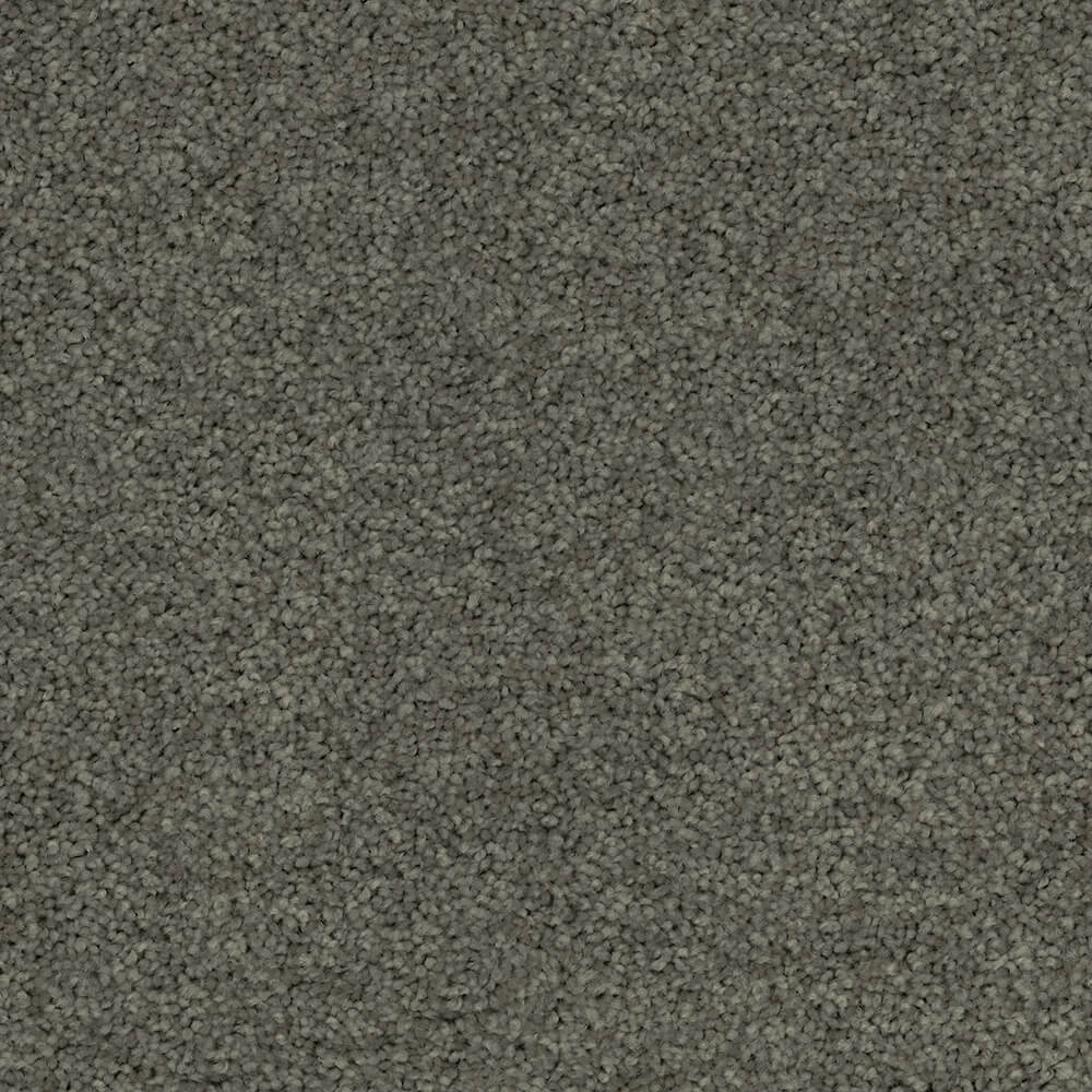 Passionate Carpet range in Silver colour