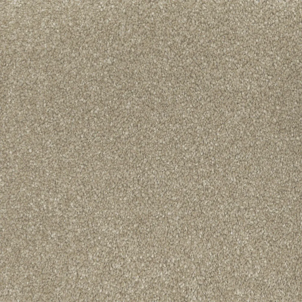 Universal Carpet in All Spice colour