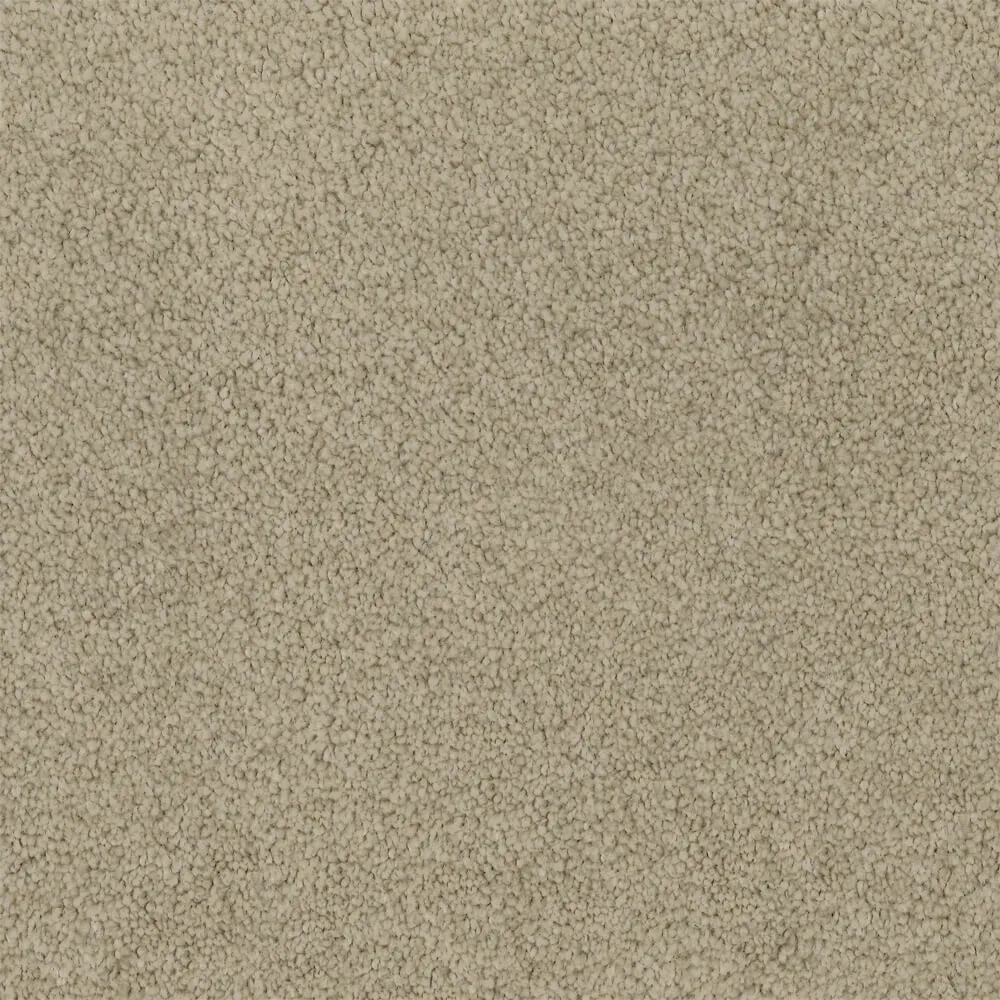 Universal Carpet in Egg Shell colour