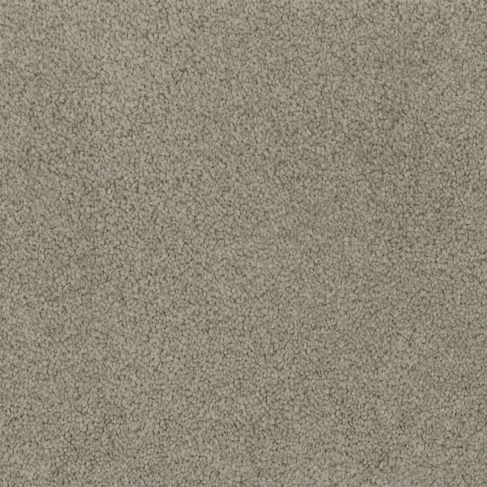 Universal Carpet in Grey Vapour colour