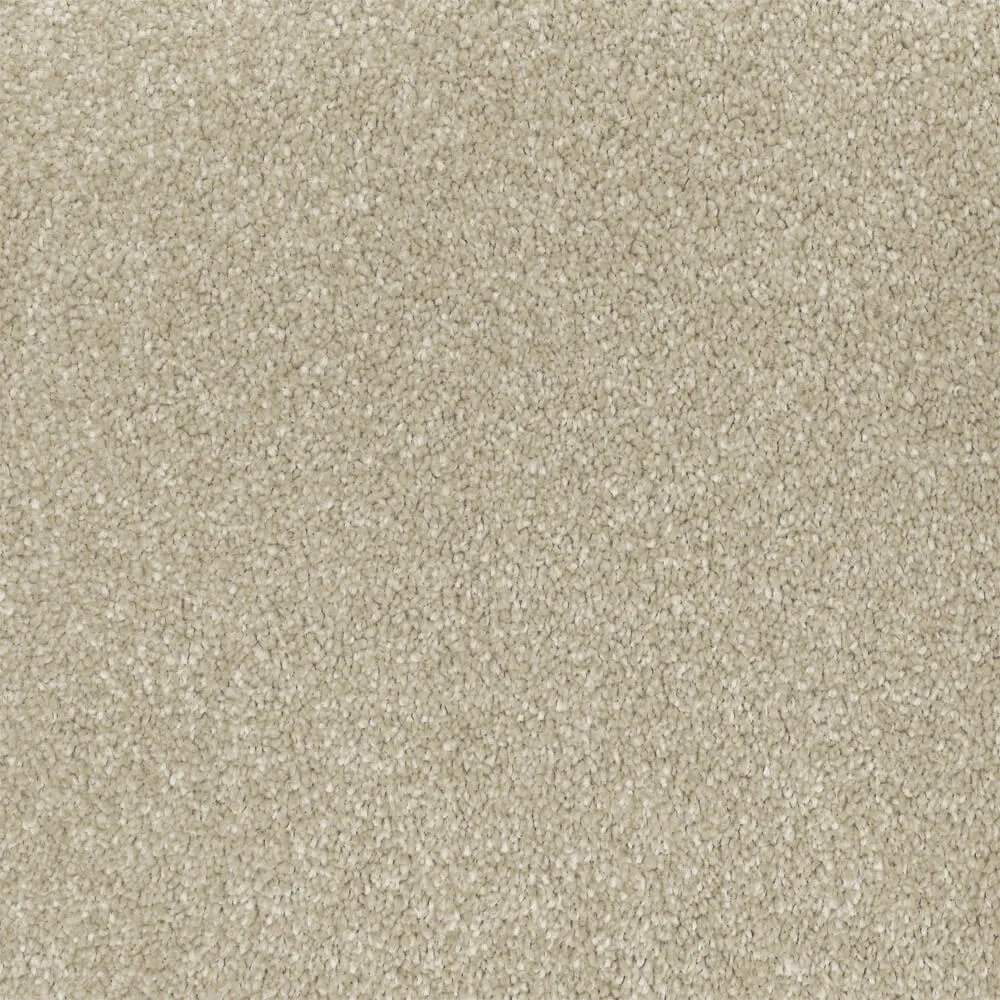 Universal Carpet in Pie Crust colour