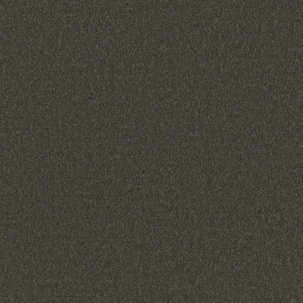 Lucky Charm Carpet in Dark Greycolour