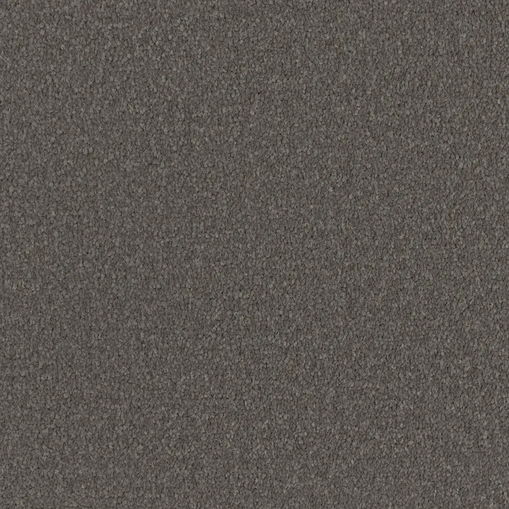 Lucky Charm Carpet in Grey Haze colour