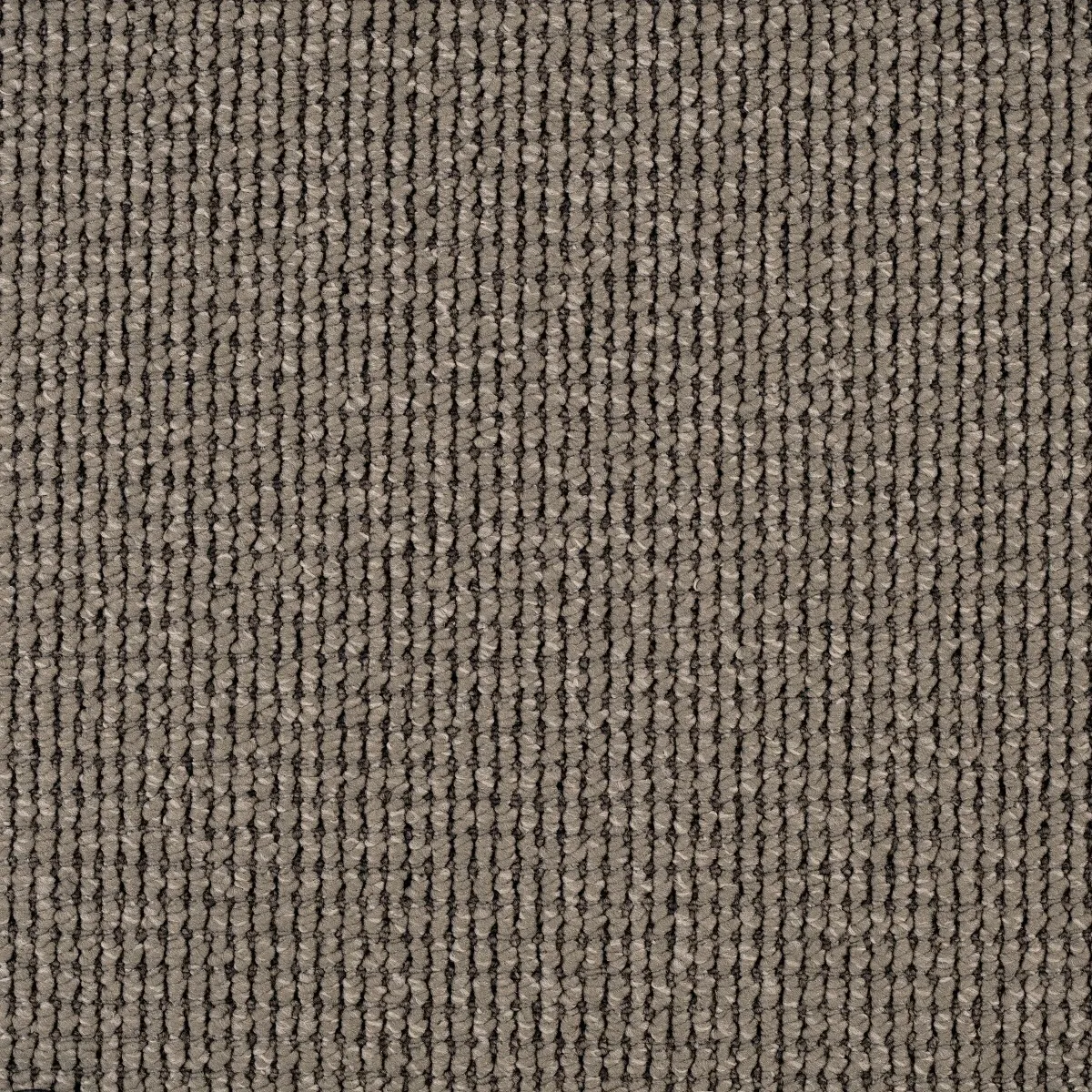 Frontier Carpet range in Terra colour