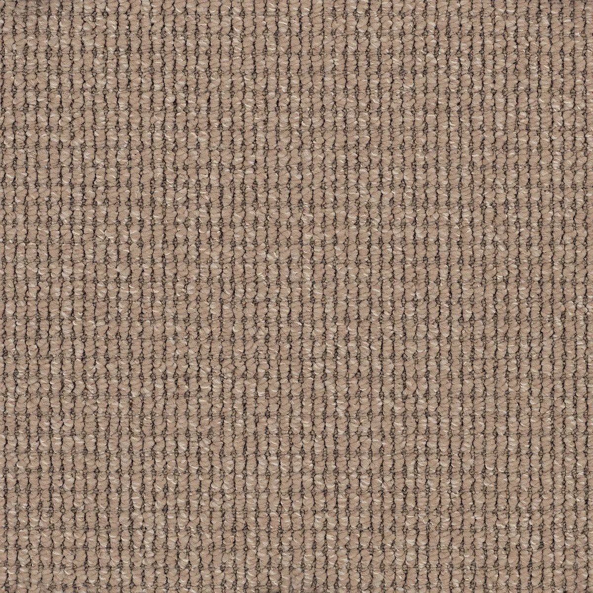 Frontier Carpet range in Tundra colour