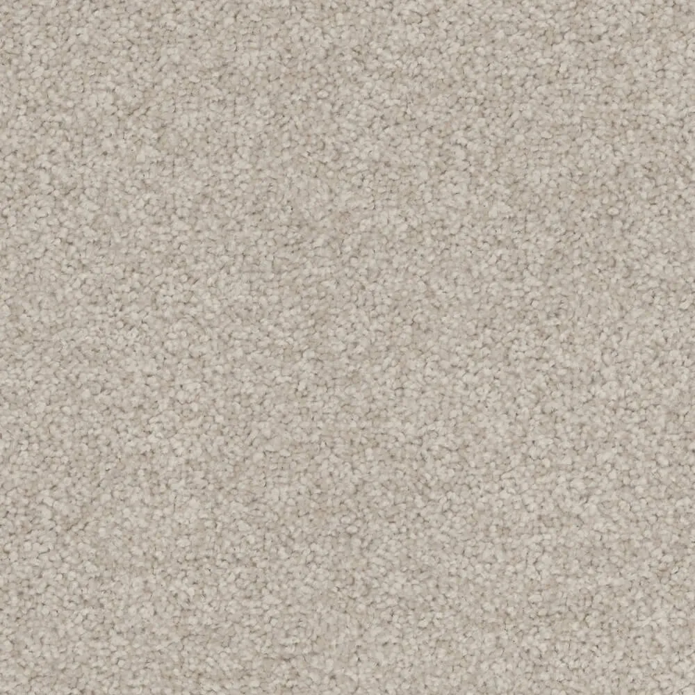 Total Bliss Carpet Range in Balsam Bark colour