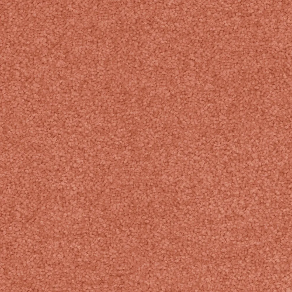 Total Bliss Carpet Range in Carnival colour