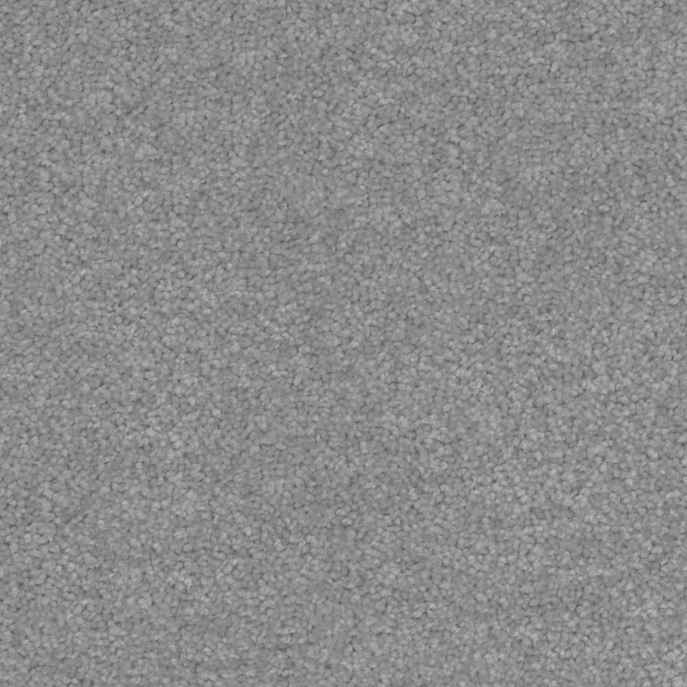 Total Bliss Carpet Range in Harbour Fog colour