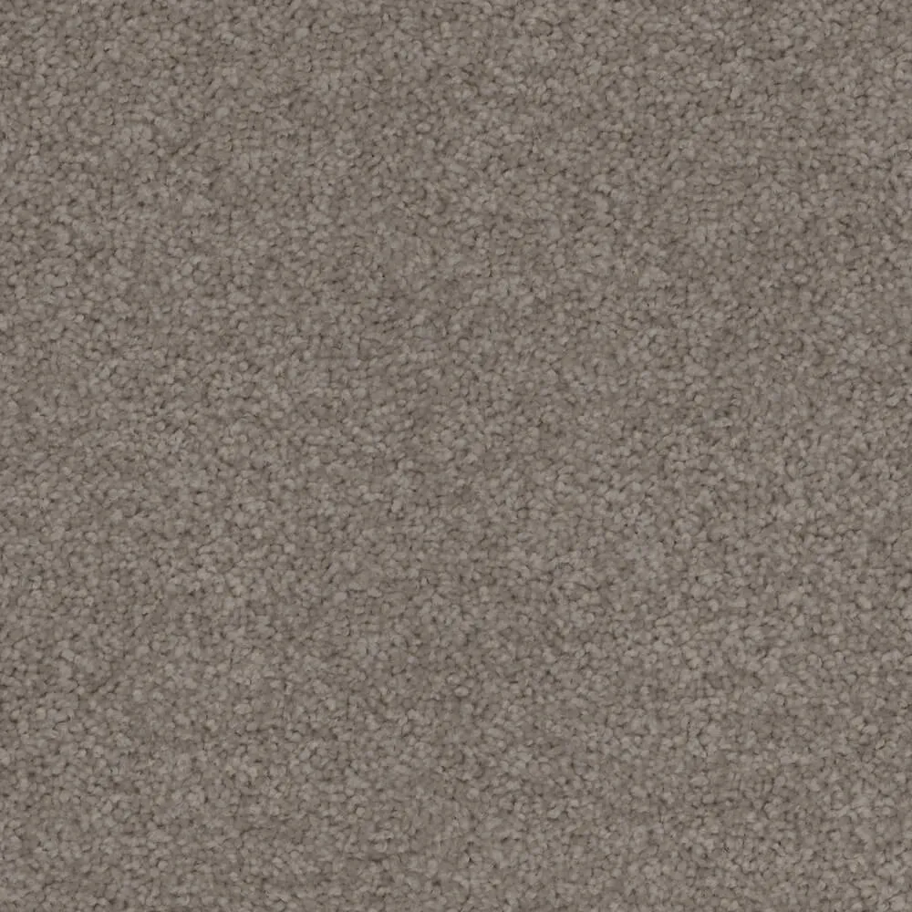 Total Bliss Carpet Range in Stone House colour