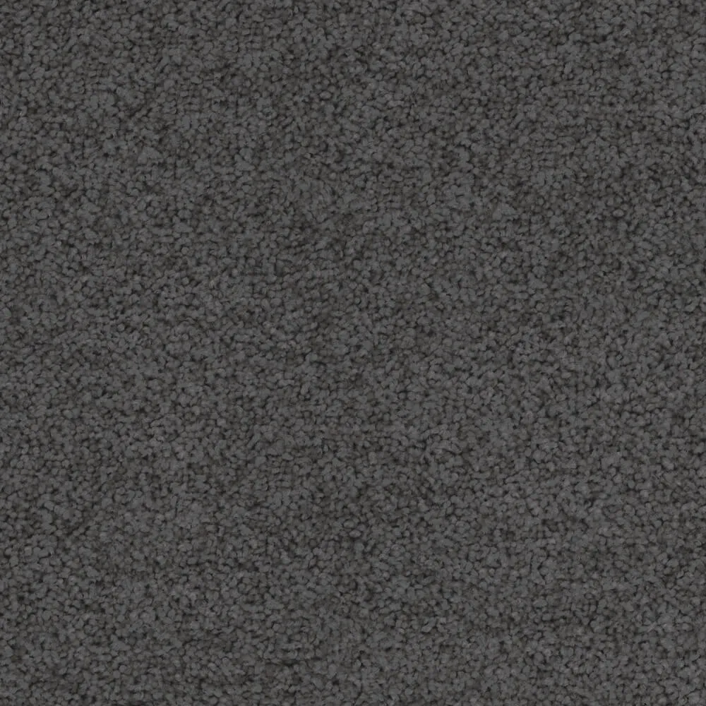 Total Bliss Carpet Range in Night Horizon colour