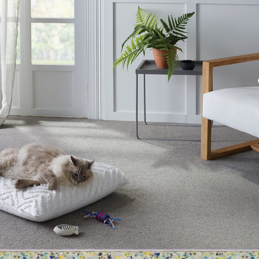 Ultrapet Performance Carpet