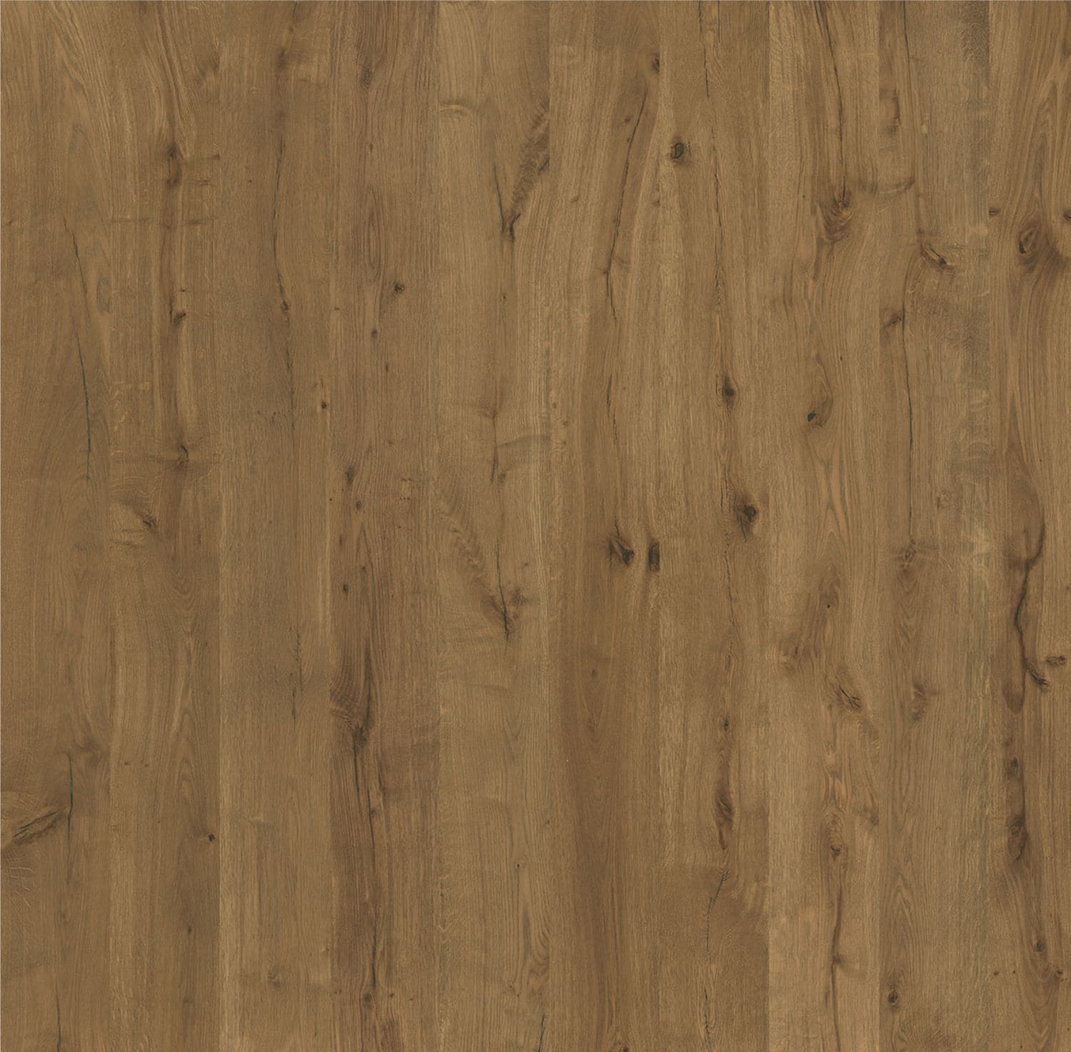 Organic European Oak Flooring in Butterscotch