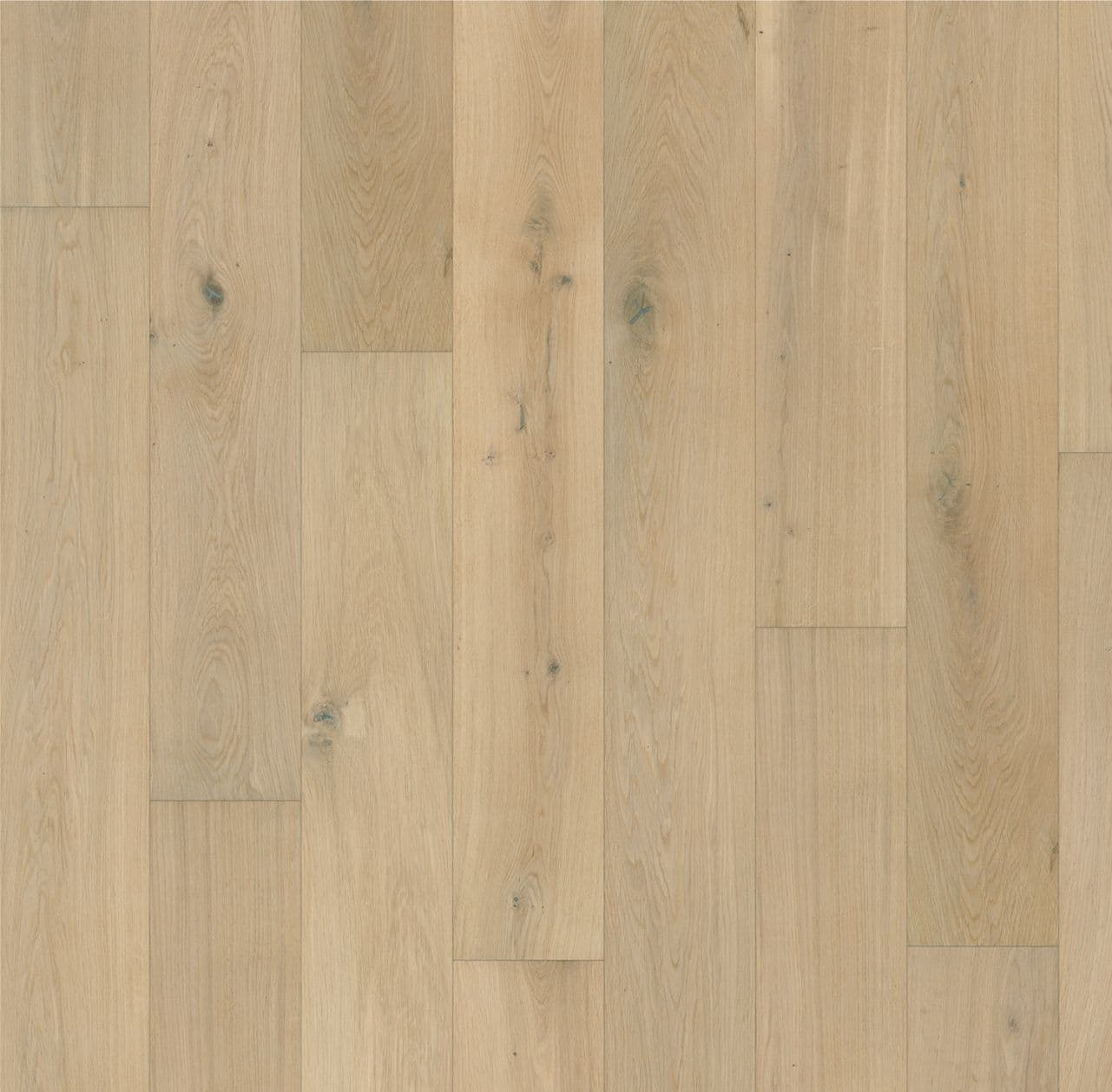 Forever European Oak Flooring in Pure Diamond