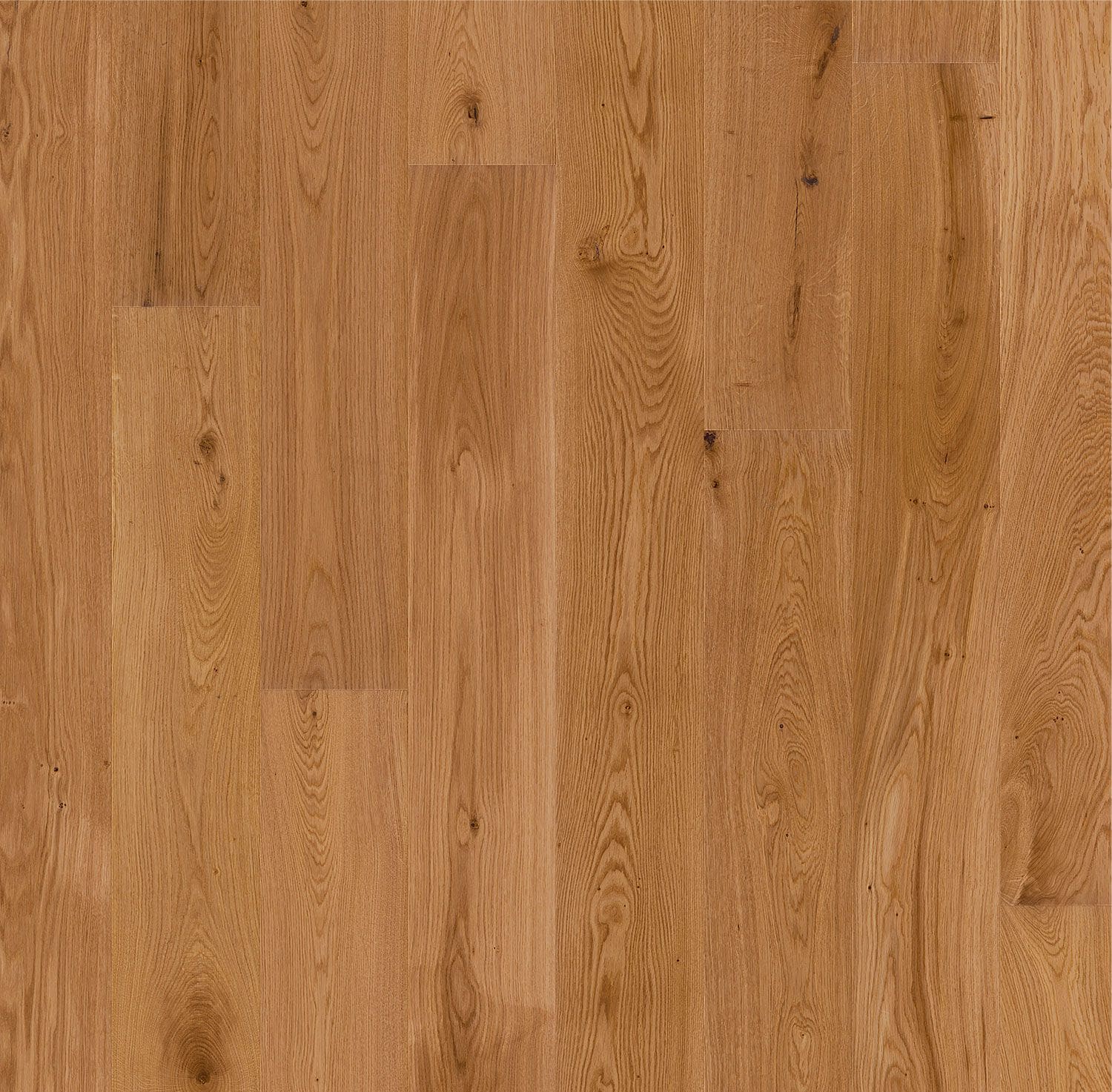 Forever European Oak Flooring in eeline Honey