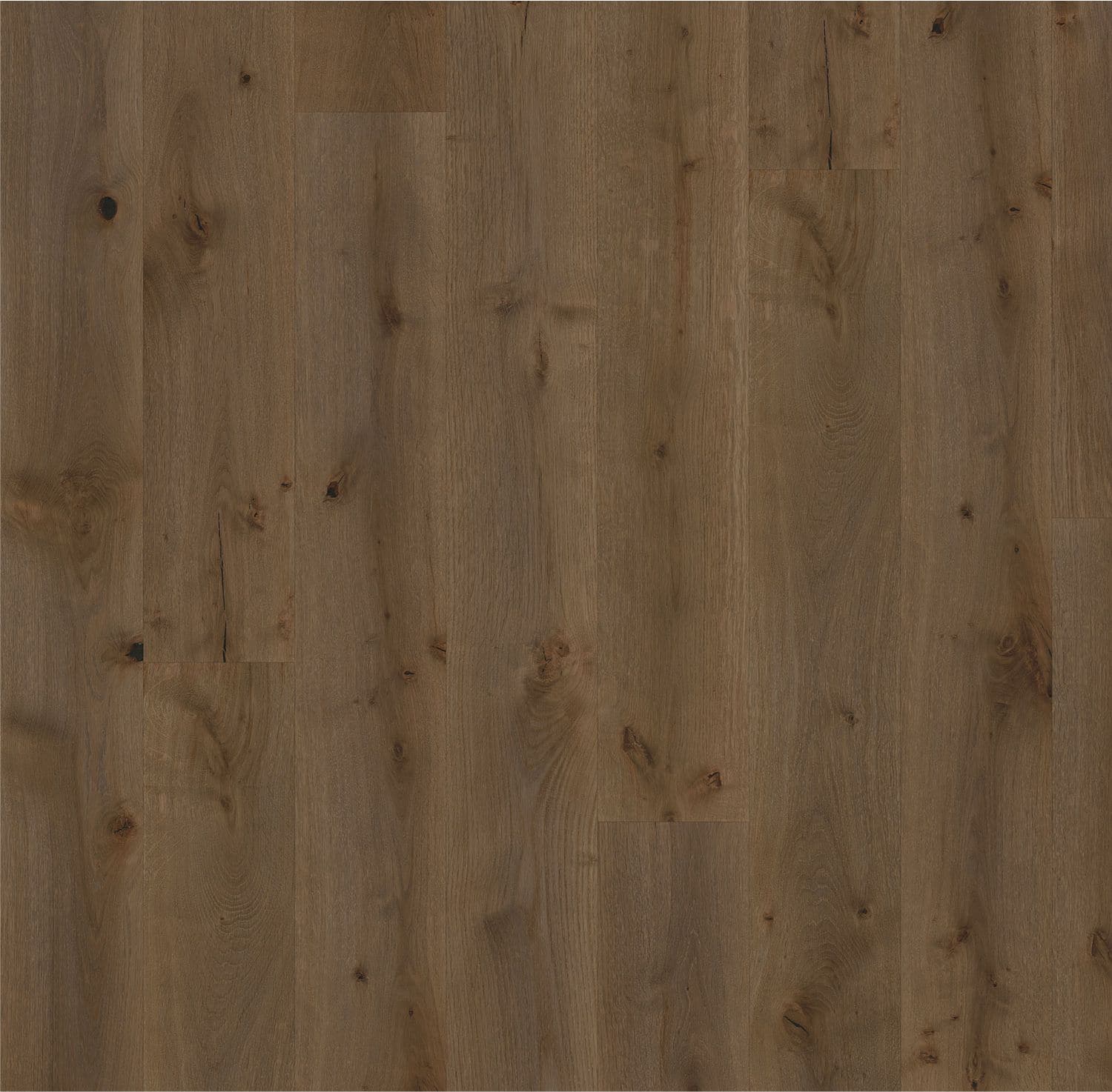 Forever European Oak Flooring in Warm Brown