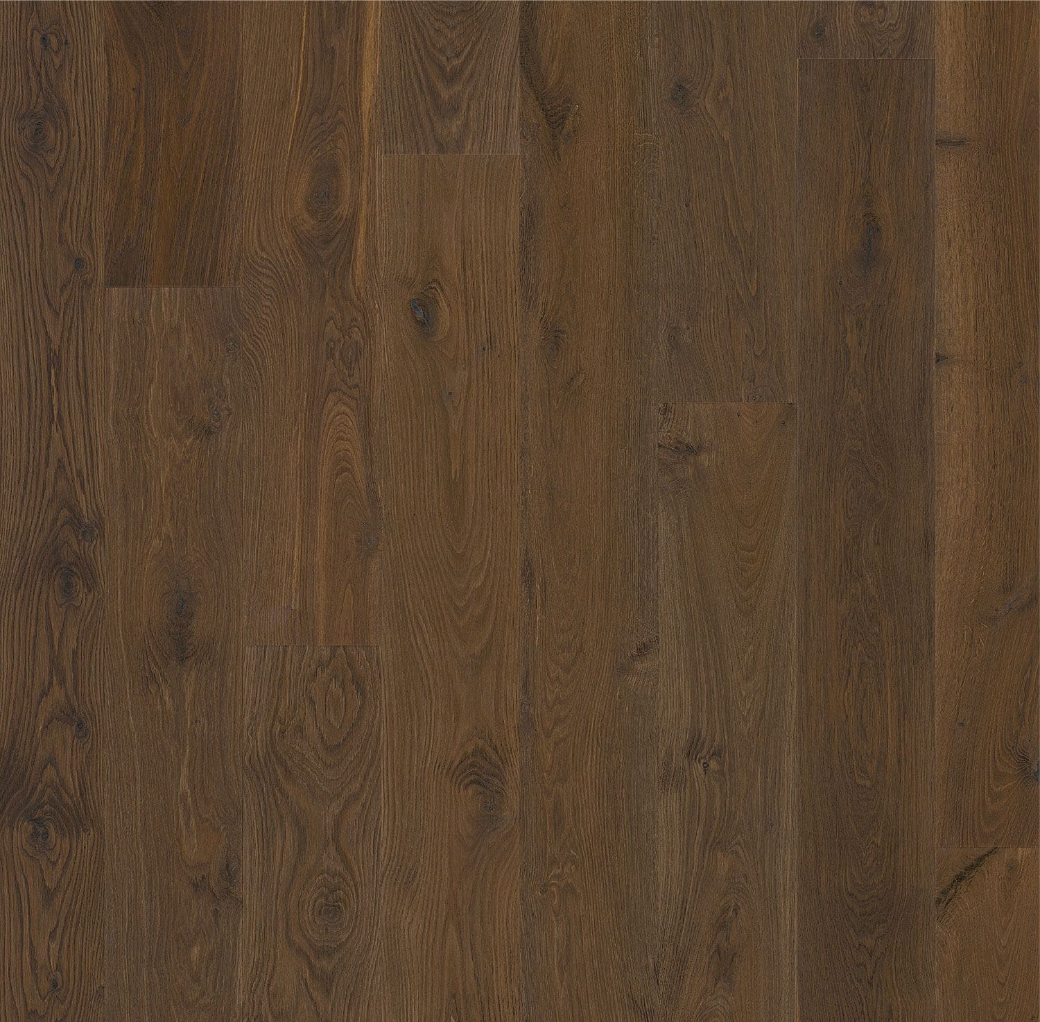 Forever European Oak Flooring in Dark Chocolate