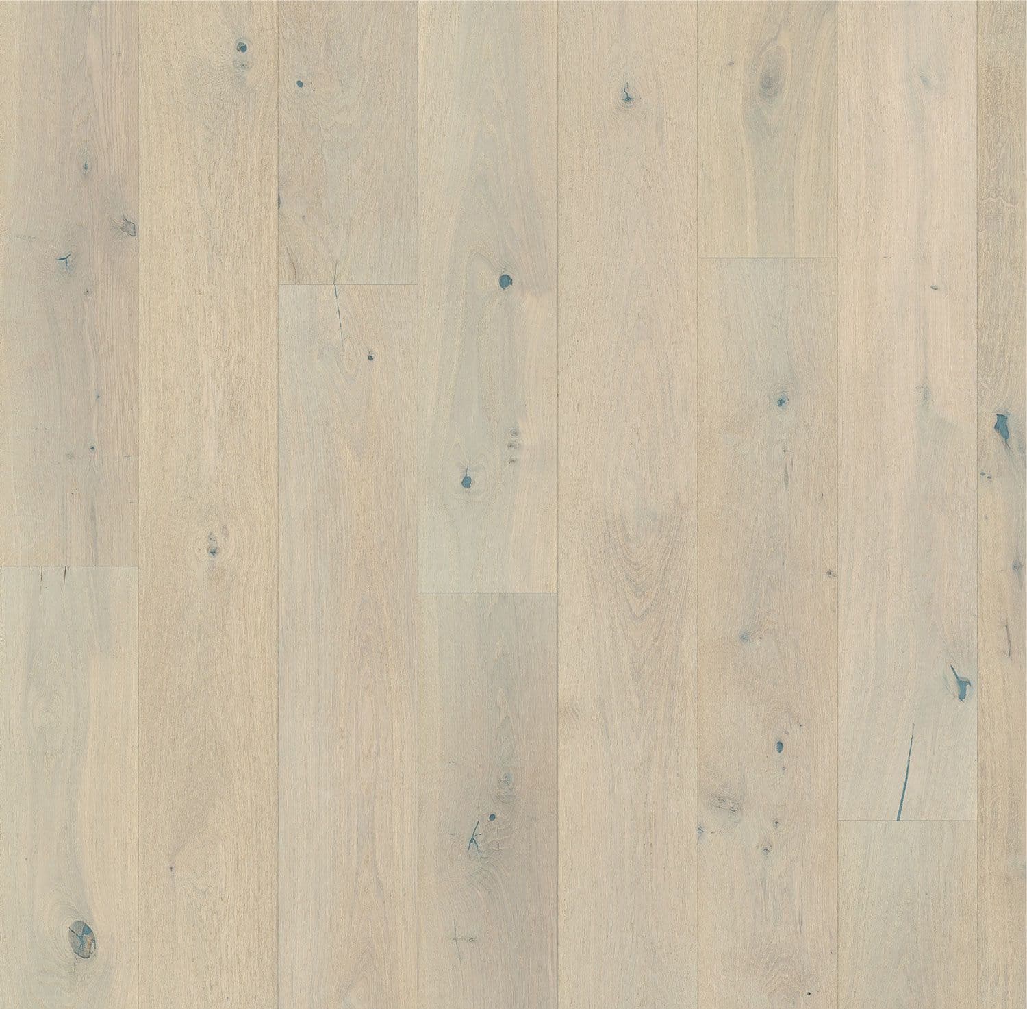 Forever European Oak Flooring in Platinum