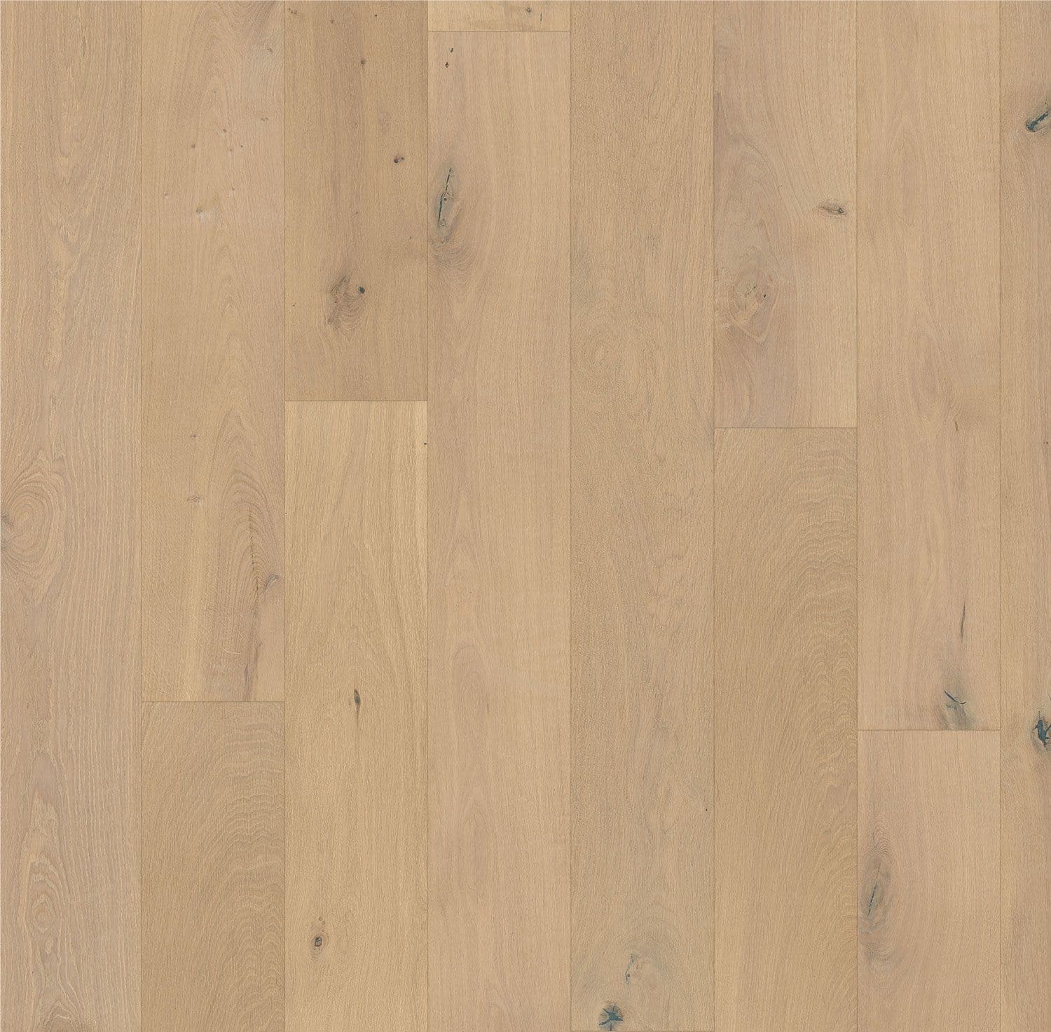 Forever European Oak Flooring in Blonde