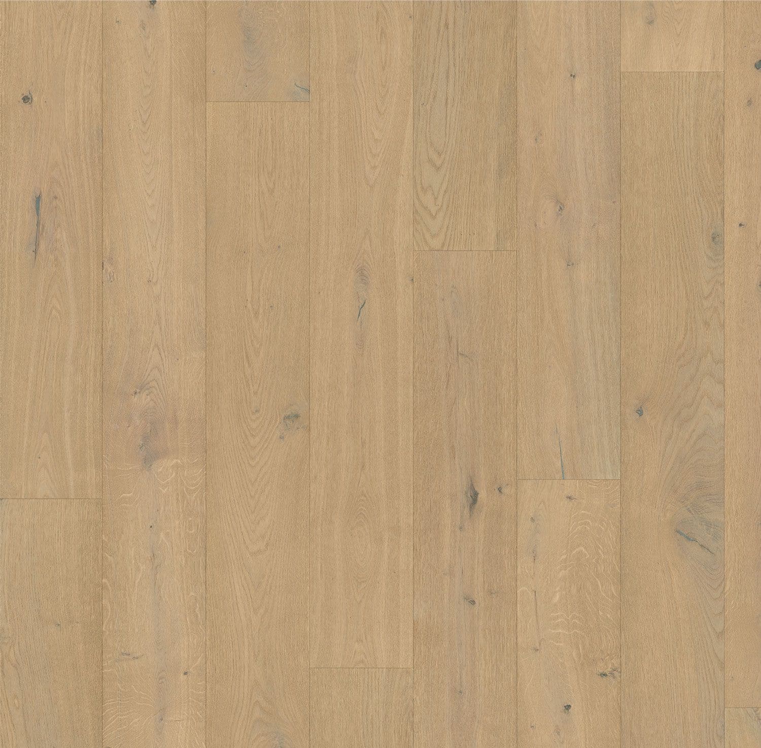 Forever European Oak Flooring in Champagne