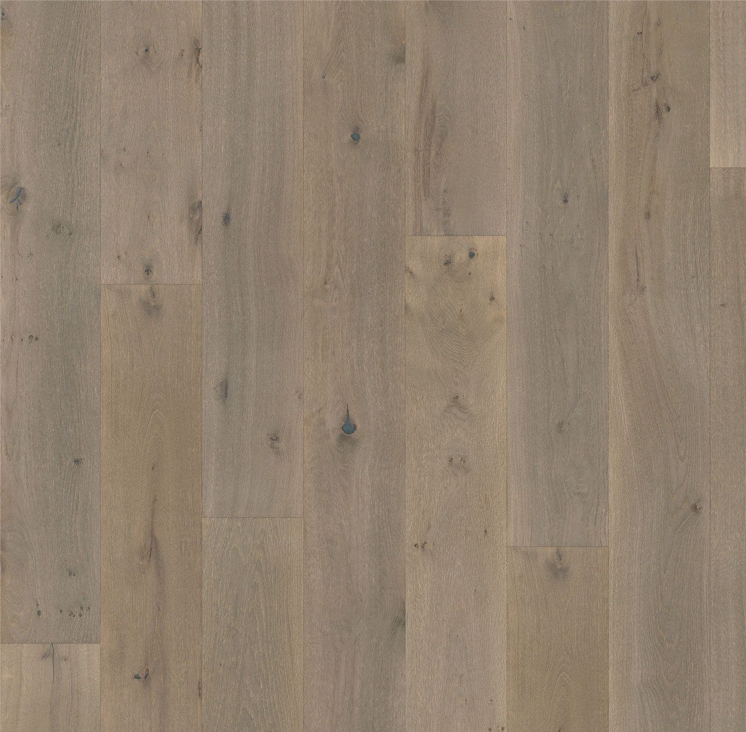 Forever European Oak Flooring in Ash