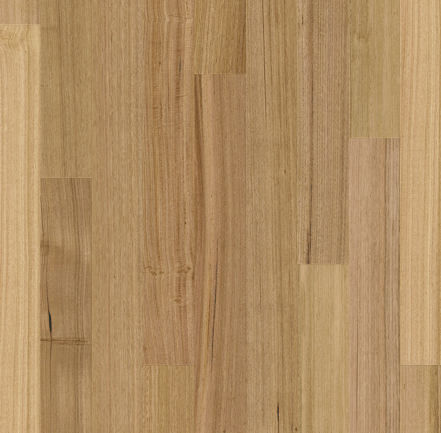 Eucalypt European Oak Flooring in Tasmanian Oak