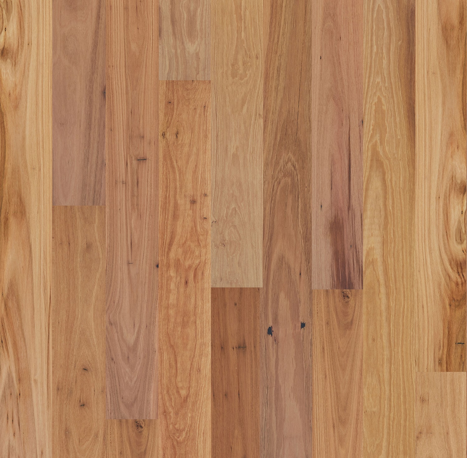 Eucalypt European Oak Flooring in Blackbutt