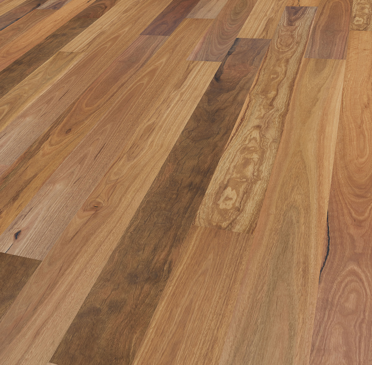 21T18-Spotted Gum