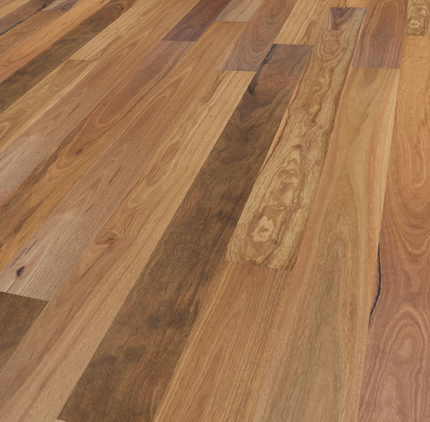 21T18-Spotted Gum